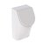 Geberit 300 urinoir met deksel - achterinlaat - wit - S8602600000G