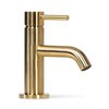 Blue Label Fonteinkraan - geborsteld goud - FK-0320-BB foto