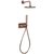 Blue Label Inbouw Douche - geborsteld koper - FK-003-H-BC