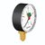 Flamco manometer 3/8'' - 0-4bar 63mm - radiaal - 27205