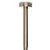 Blue Label plafondsteun 20cm - geborsteld goud - FK-802R-20-BB