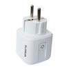 Watts Smart Plug Ontvanger BT-PR03 RF - 900008074 foto
