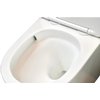 Blue Label Hav wandcloset 49cm - spinflush - softclose - glans wit - 760330 foto